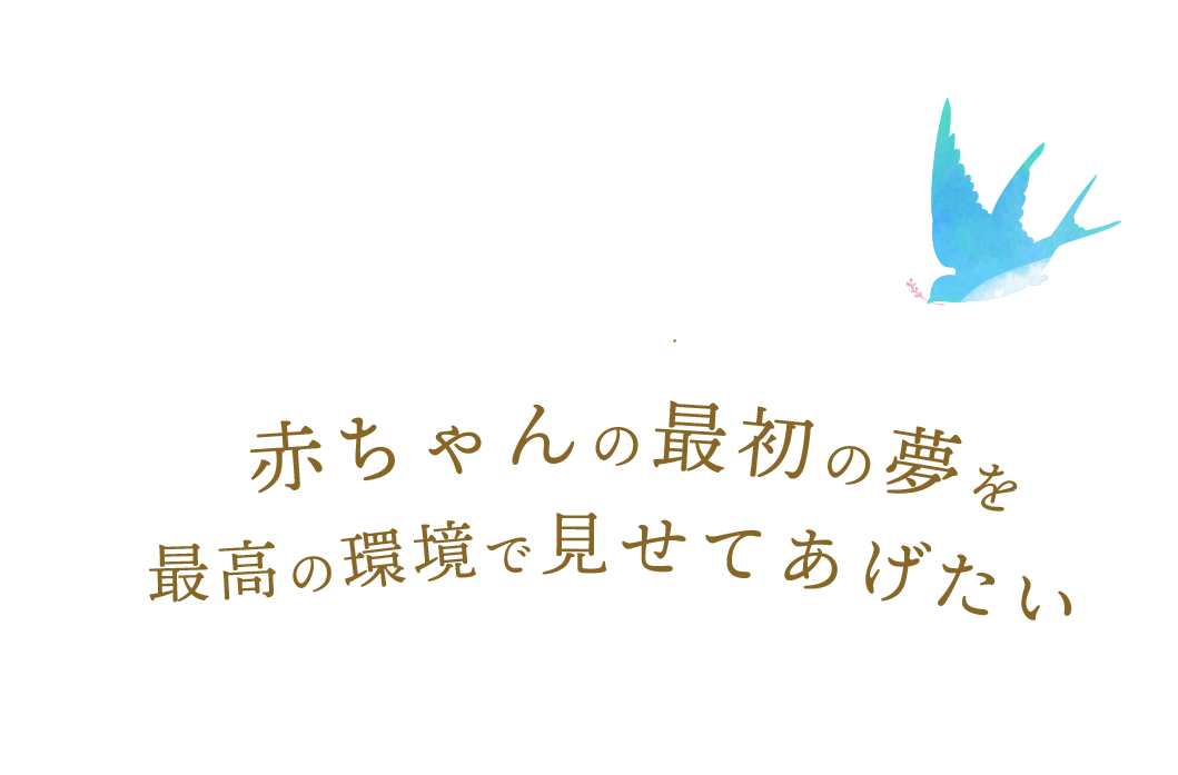 赤ちゃんの最初の夢を最高の環境で見せてあげたい