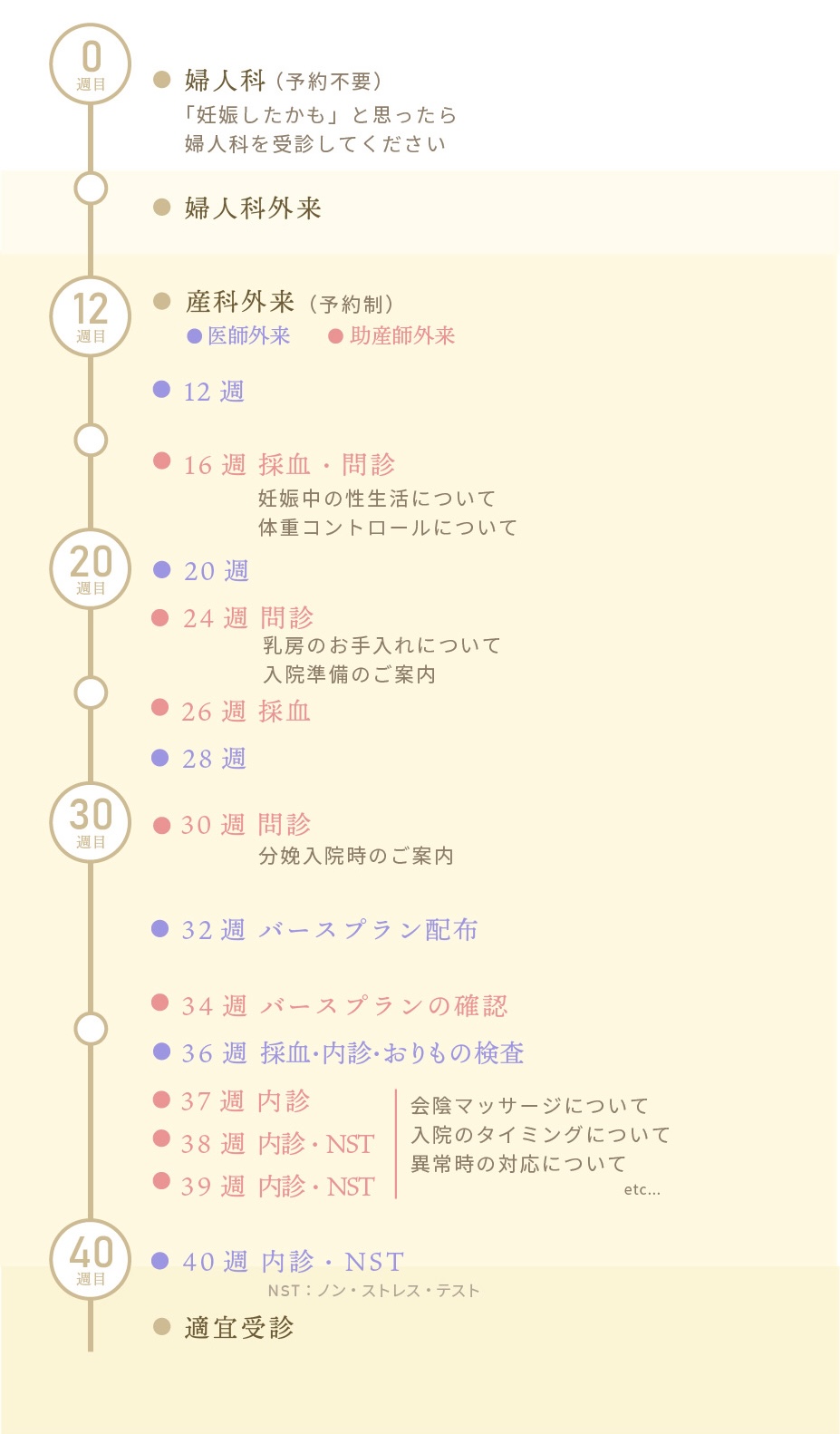 産科外来の流れ